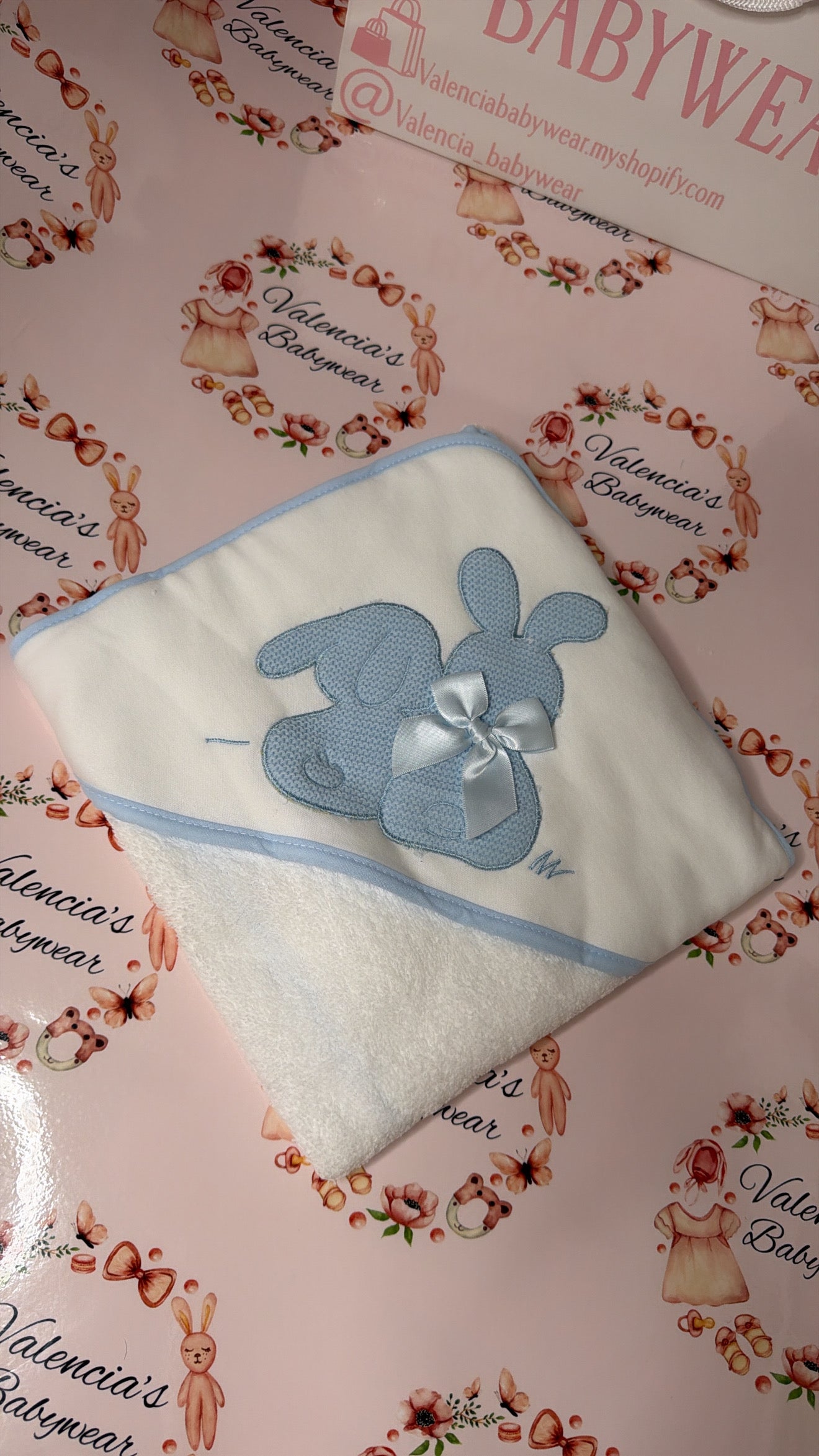Baby Blue Embroidered Hooded Towel